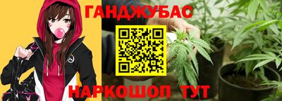 сатива Гатчина
