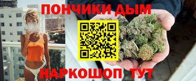сатива Гатчина