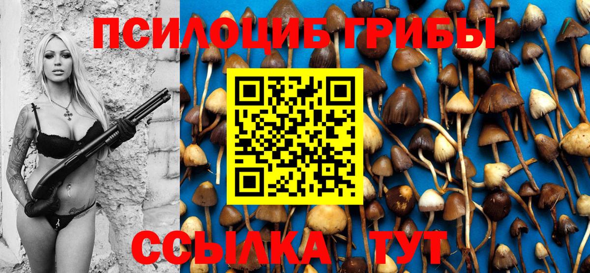 Галлюциногенные грибы Psilocybine cubensis  Вход с VPN  Новоалтайск  Галлюциногенные грибы мухоморы 